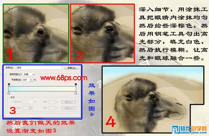 PS繪制沙漠駱駝插畫