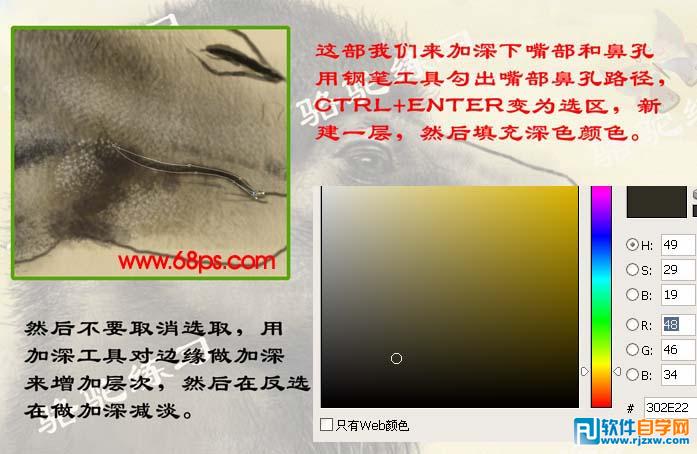 PS繪制沙漠駱駝插畫