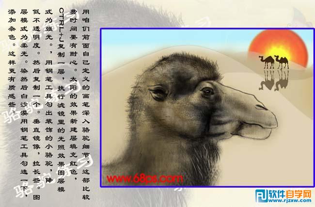 PS繪制沙漠駱駝插畫