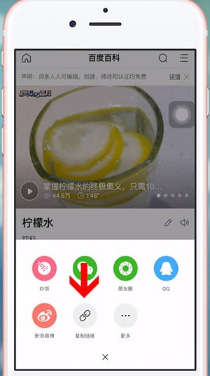 簡單搜索中查看網址具體操作流程