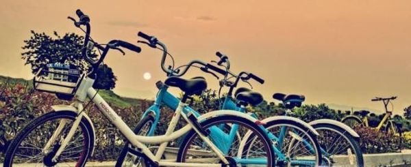 共享單車忘記鎖了應該怎么辦？