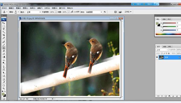 仿制圖章工具怎么用 仿制圖章工具的用法