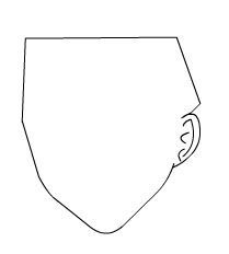 用Flash繪制美麗的女孩實例教程