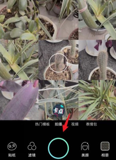 faceu相機怎么拼圖詳細教程