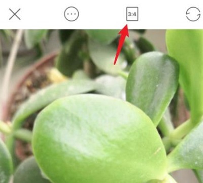 faceu相機怎么拼圖詳細教程