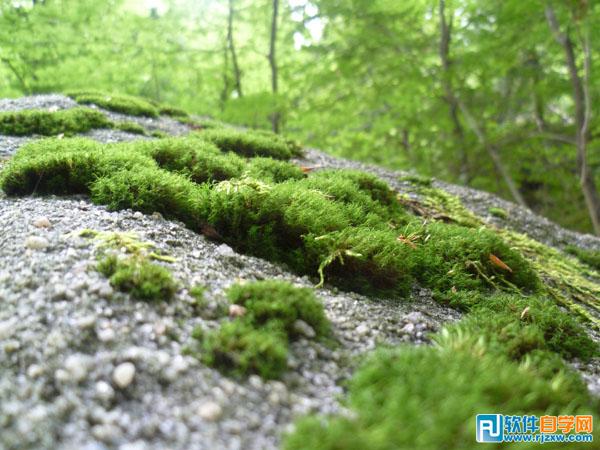 photoshop夢幻效果的房子