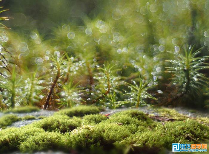 photoshop夢幻效果的房子