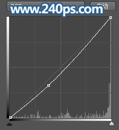 PS設計 夢幻的裙子