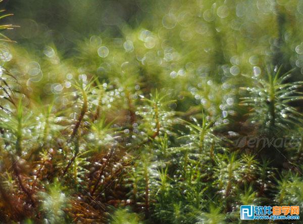 photoshop夢幻效果的房子