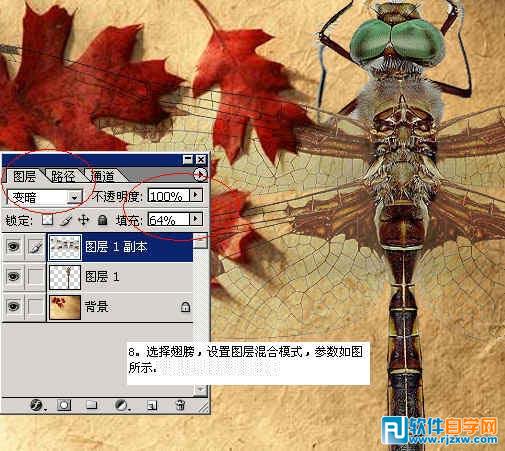 怎樣用ps換背景顏色