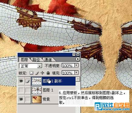 怎樣用ps換背景顏色