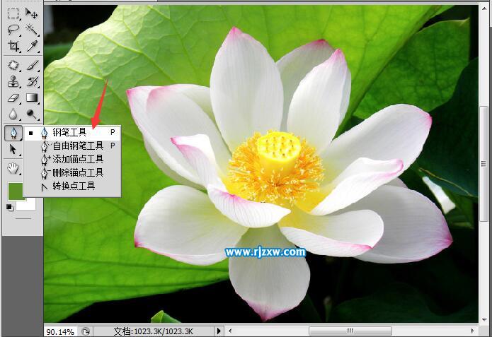 用PS摳圖的二種實用方法