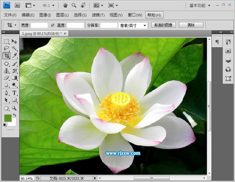 用PS摳圖的二種實用方法