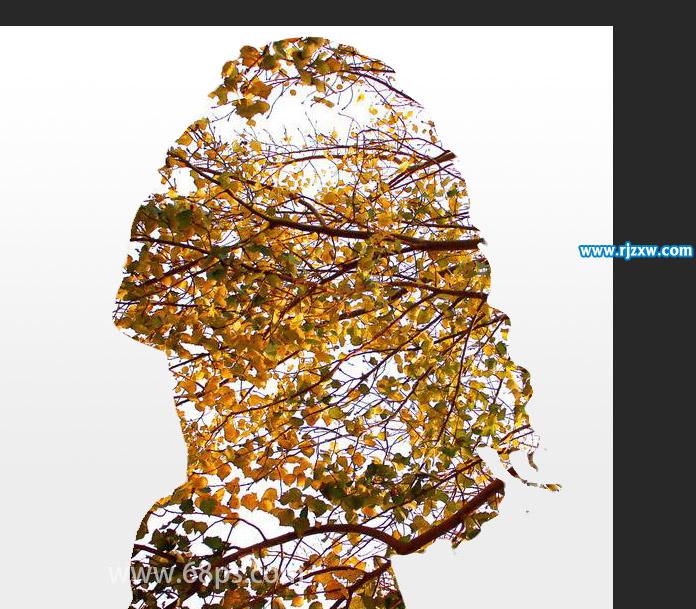 新手怎么用PS做人物和樹木雙重效果