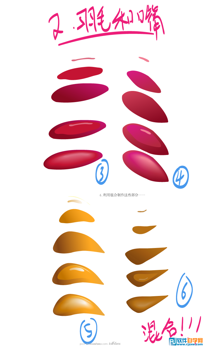 IllustratorCS6繪制逼真的瘋狂的小鳥