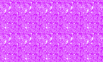 教你用Fireworks制作閃圖背景的動畫效果