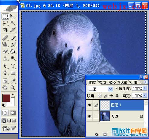 用PS畫筆制作多彩邊框