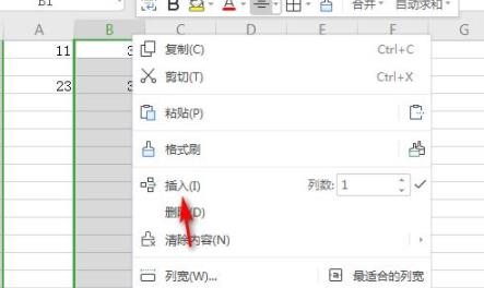 wps表格怎么加一行詳細介紹