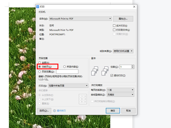 WPS如何打印固定文檔頁
