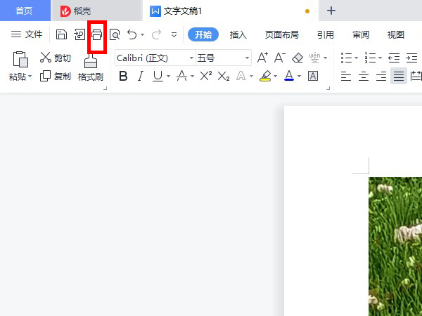 WPS如何打印固定文檔頁