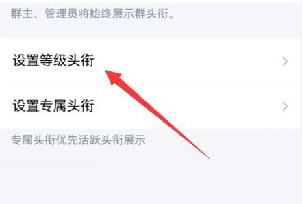 qq群頭銜設置動態教程
