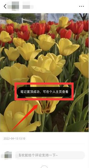 小紅書如何置頂作品