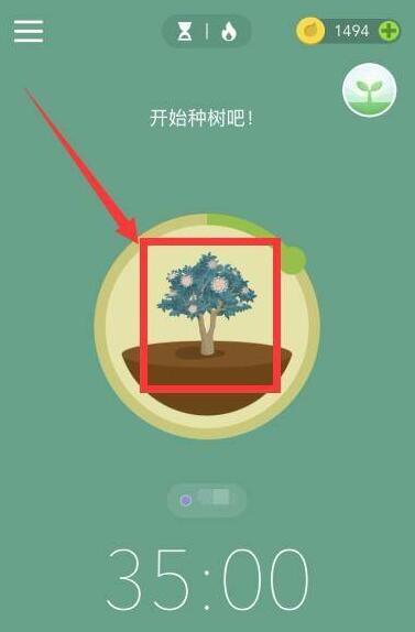 forest怎么一個人種樹