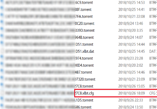 迅雷任務(wù)配置文件出錯無法繼續(xù)下載解決方法