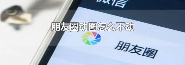 朋友圈動圖怎么不動