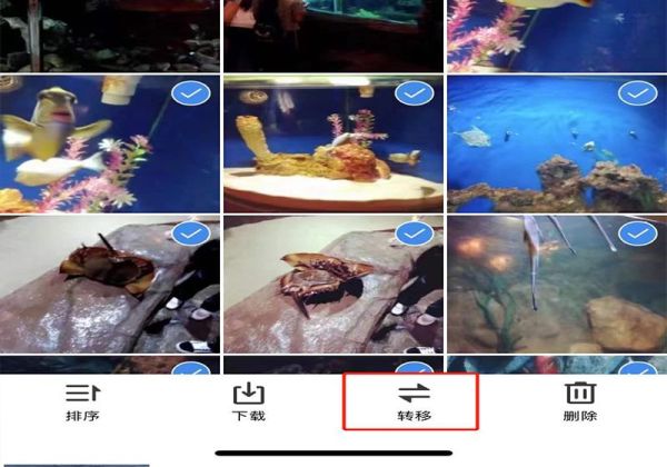 qq空間的相冊如何整體遷移