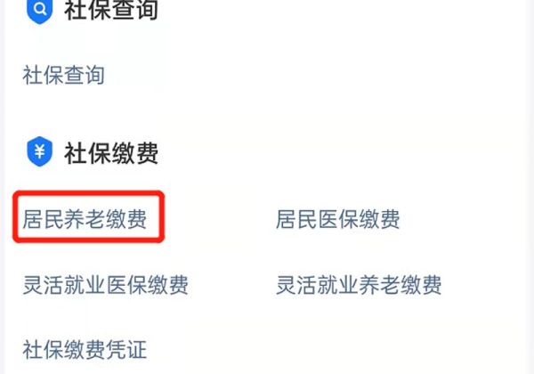 手機上可以交養老保險嗎?怎么交