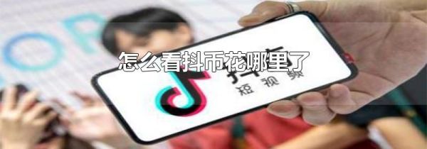 怎么看抖幣花哪里了