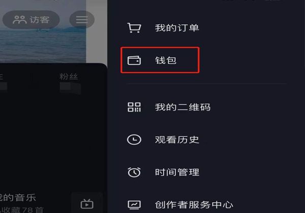 怎么看抖幣花哪里了