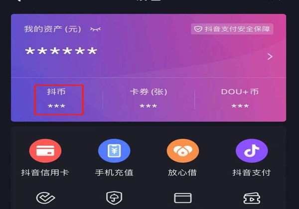 怎么看抖幣花哪里了
