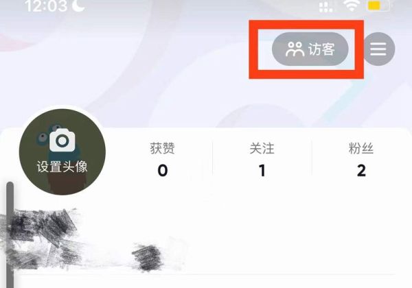 抖音可以刪除訪客記錄嗎