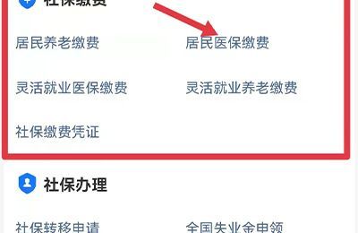 如何在支付寶上交醫保