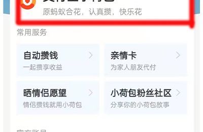 支付寶小荷包的錢怎么取出來