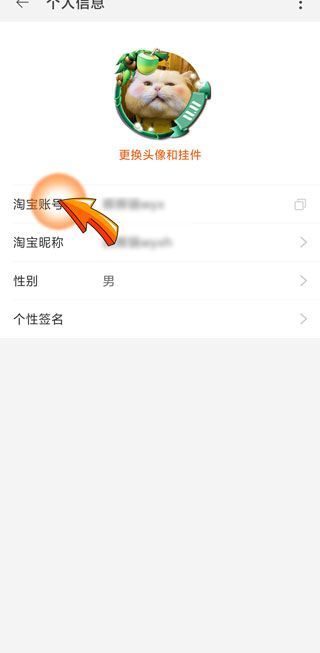 淘寶會員名怎么改第二次