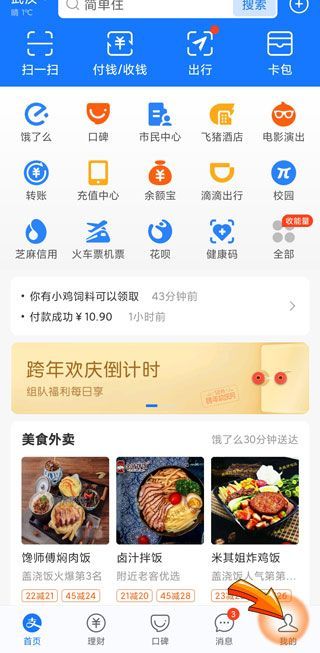 支付寶的設(shè)置在哪里可以看到