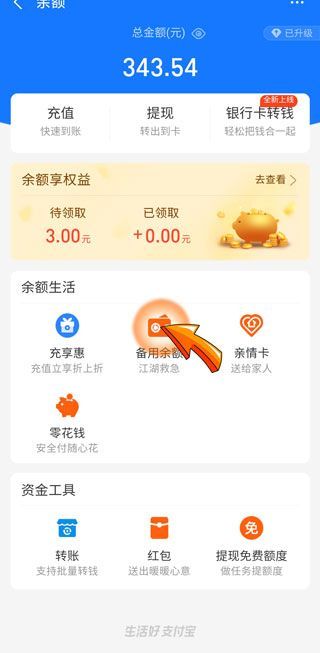 為什么余額里備用金沒有