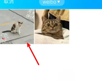 qq怎么設(shè)置空間背景