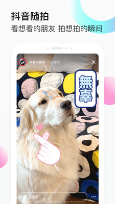 適合新手用的拍視頻軟件