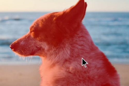 濾鏡軟件哪個(gè)好