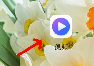 芒果會(huì)員免費(fèi)領(lǐng)取2023