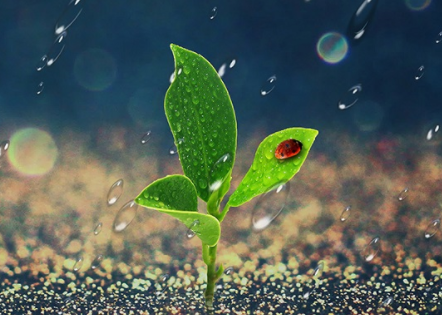 一個手機(jī)號可以注冊兩個微信嗎