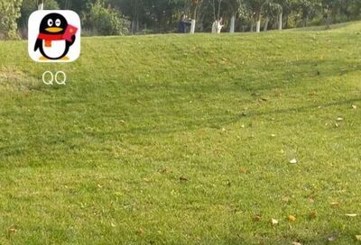 如何查看QQ群在線人數