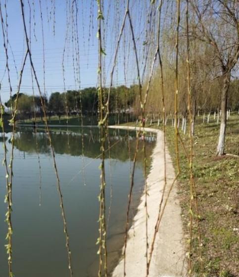 怎么更改微信首頁(yè)封面圖片？