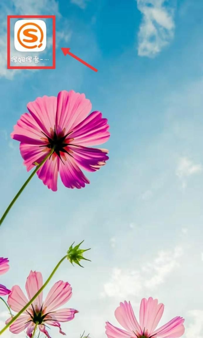 如何申請企業(yè)支付寶賬號