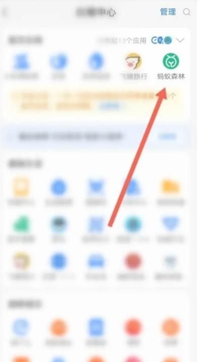 支付寶螞蟻森林亞洲金貓怎么獲得