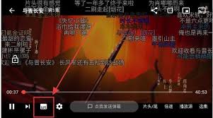 堅(jiān)果視頻app如何設(shè)置中文字幕